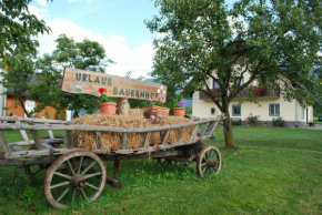 Ferienhof Ressmann-Tratnik, Ledenitzen, Österreich